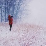 Netflix sweetens Warner Bros.Discovery terms to all cash in bidding war