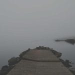 The 8 Best Budget And Expensive Phones For Photographers In 2026