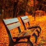 Botulinum Neurotoxin Injection Improves Sleep in Cervical Dystonia