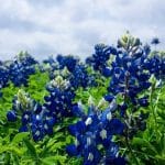 Top 5 AI Business Ideas for 2025: Unlocking Opportunities for Growth