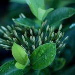 Hypersonic Leap! India Fires “Un-Interceptable” Cruise Missile; Can Deflate Pakistan’s Nuclear Bluff