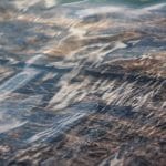 Big Moment, Bigger Man: Shreyas Iyer Shines Bright