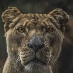 Best Fitness Equipment for Small Spaces in 2025