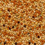 High Protein Millet Recipes for Weight Loss in 2026