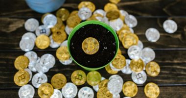 How SIP Works in India: 2026 Guide for Beginners