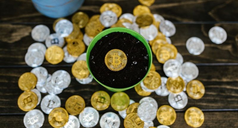 How SIP Works in India: 2026 Guide for Beginners