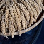 Millet Meal Prep Ideas: 7 Easy Recipes for Indian Techies in 2026